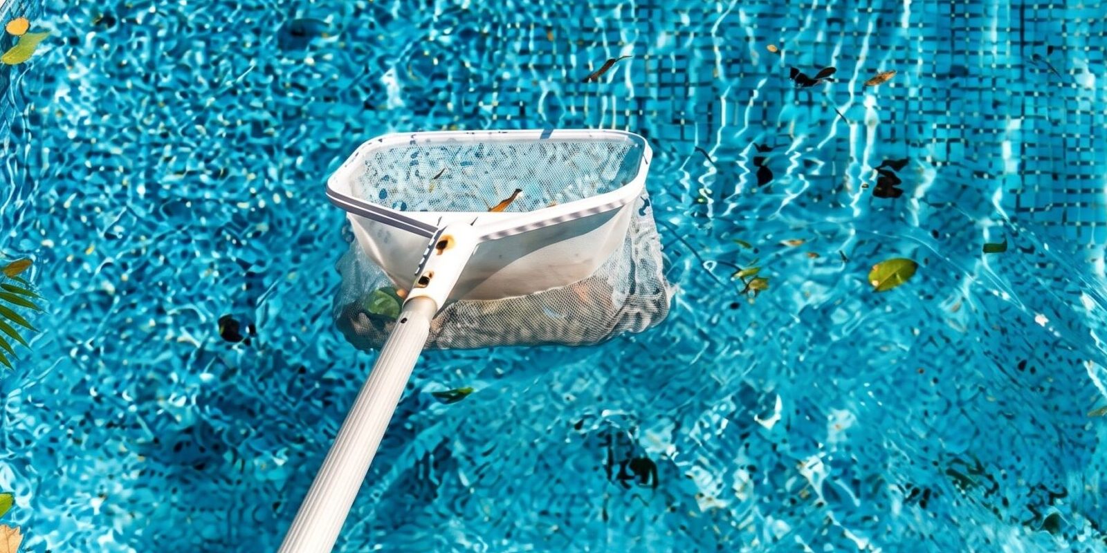 Fort Myers Pool Service Homeowner's Guide, Costs, What's Included ...